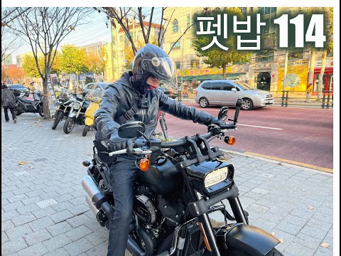 펫밥 114 #fatbob114