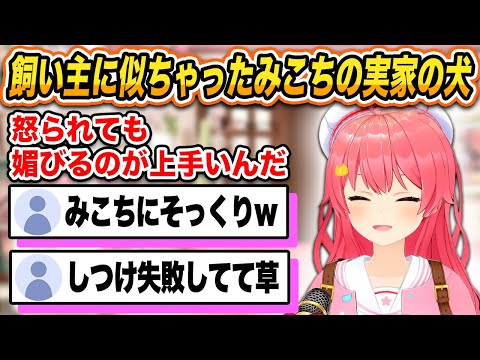 みこちと、おじいちゃんとおばあちゃんにもそっくりな実家の犬の面白エピソード 【 さくらみこ / ホロライブ切り抜き 】