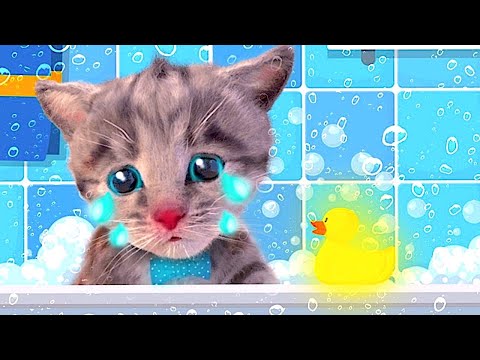 CUTE LITTLE KITTEN ADVENTURE  OF A LITTLE KITTY 😸 Cat Play Fun Pet Care VIDEO FOR PRESCHOOLERS #1169