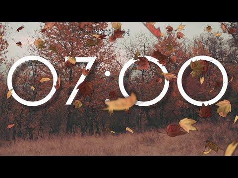 7 Minute Autumn Timer, No Music, No Alarm ⏳🍂