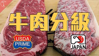 牛排如何分級？Prime跟日本和牛一較高下｜克里斯丁聊料理