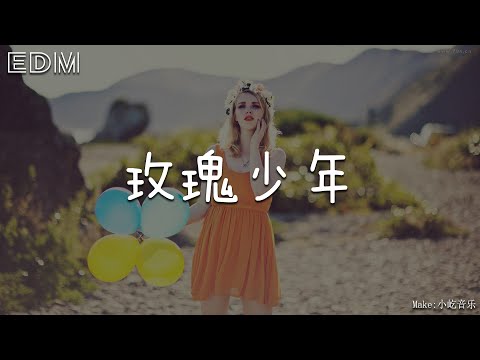 王靖雯 玫瑰少年🎧抖音热门歌曲 🎧 EDM 中文歌曲 华语 Music