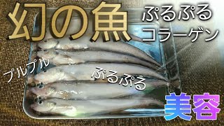 幻の魚。ゲンゲで煮付けを作ってみた。水深２００ｍ以上の海域に住む深海魚『コラーゲンたっぷり　幻魚の煮付』【第６回】男飯シリーズ