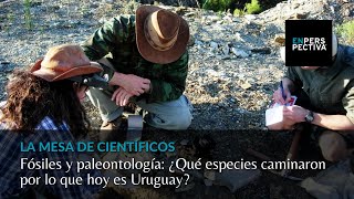 Fósiles y paleontología: ¿Qué especies caminaron por lo que hoy es Uruguay?