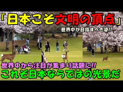 【海外の反応】日本の光景に外国人「日本は文明の頂点に君臨している」！！ある映像が世界中から注目され話題に！！