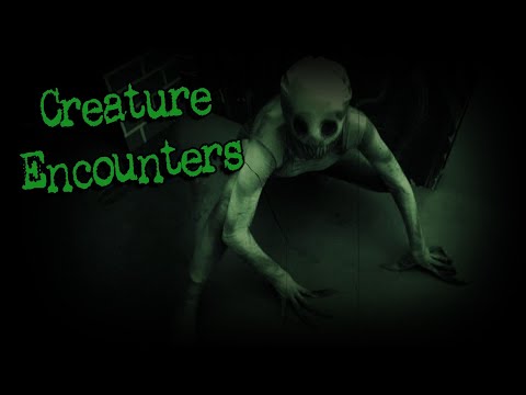 (3) Creepy Stories Submitted by Subscribers | Creature Encounters #9