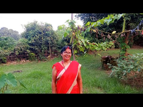 Mera Baggan || My Garden tour || fresh vegetables || flowers || Winter