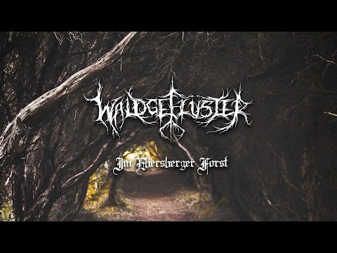 Waldgeflüster - Im Ebersberger Forst (Official Lyric Video)