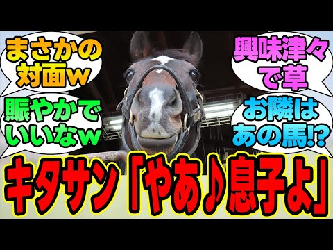 『イクイノックスの馬房、親父の対面になる』に対する競馬民の反応集