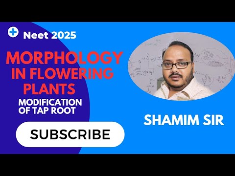 Modification of tap root class 11|morphology in Flowering🪴