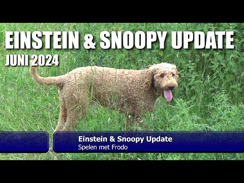 Einstein & Snoopy Update juni 2024 Spelen met Frodo