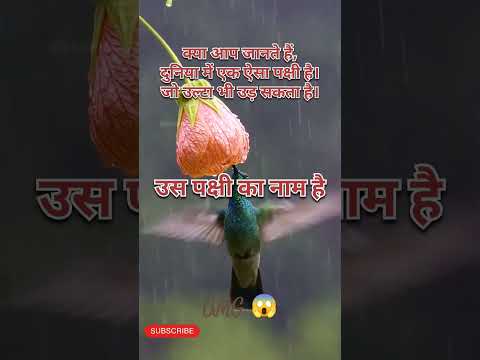 #motivation,#Gk Story,#viral video,#viralshorts ,#khansir ।