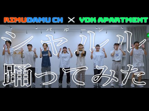 【豪華コラボウィーク】RIMUDAMU CH × YDK Apartment | シャルル - バルーン