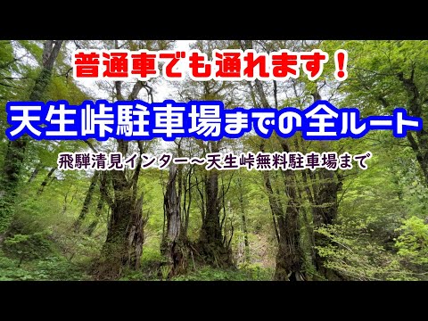 【天生峠駐車場までのルート】飛騨清見インターから天生峠無料駐車場までの全ルート映像！