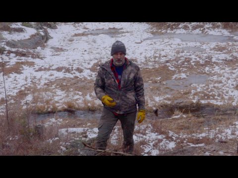 Deer Population and Patterns at my Log Cabin Homestead