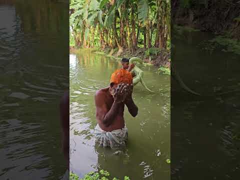 Funniest King Cobra Snake Pranks On Grandpa! | Sagor Bhuyan