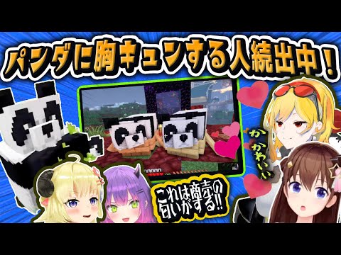 Watame and Towa plan to use pandas for business【hololive/clips/Watame/Towa】