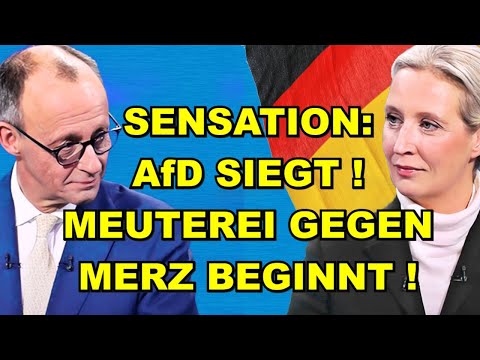 AfD SIEGT! MEUTEREI gegen MERZ BEGINNT!