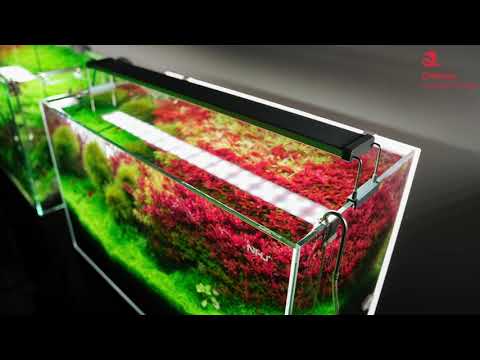 Chihiros B series new aquarium led lighting coming