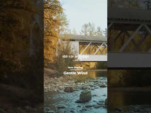 'Gentle Wind' | Background Music For Videos