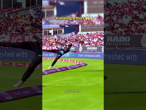 Greatest Fielding Effort in Cricket 🔥😱 #cricket #shorts