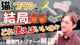 【猫のブラシ迷ったらコレ!!】プロの猫トリマーがAmazonで買ったブラシでトリミングしてみた！ブラッシングのコツもご紹介！