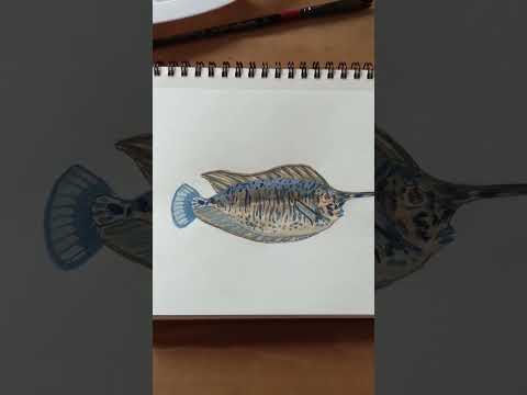 painting fish #painting #art #paintingideas #drawing #tiktok #acrylicpainting