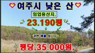 물번137번) 이런 곳에 이렇게 싼 임야 23.190평 경기도 여주시 대신면 농림지역, 임업용산지, 투자로 최적 주위 시세 반값 정도 입니다 총4필지로 경사도10도~20도 이내로