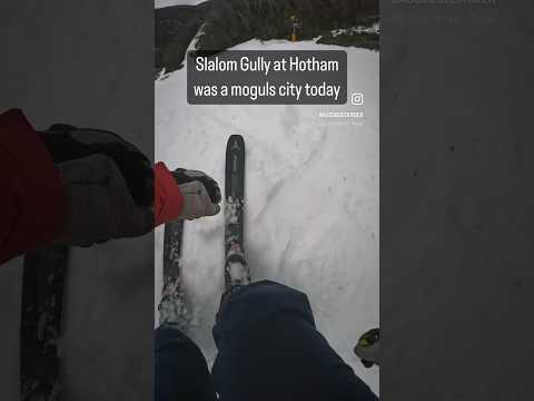 Lots of moguls on Slalom Gully at Mt Hotham today. #ski #moguls #mthotham