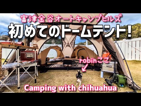 愛犬が一番喜ぶキャンプ場で初めてのドームシェルター設営！たこ焼きにも初挑戦！【千葉県：富津金谷オートキャンプヒルズ Cドッグランサイト】