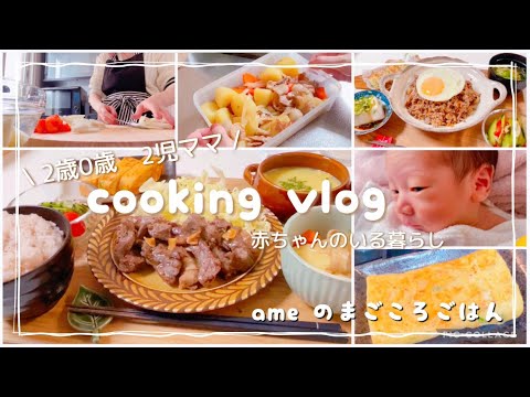 【vlog】新生児と2歳児のいる生活👶🏻/おうちごはん3日分/生姜焼き/ステーキ/ズボラ丼/お風呂🛁【料理/日常/cooking/sub】