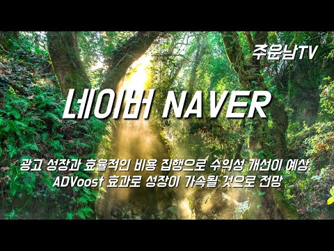 네이버 NAVER 주가 추세 분석 시간끌기와 대응방법