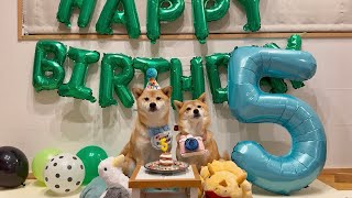 【祝お誕生日】富くんが今日で5歳になりました🎉✨