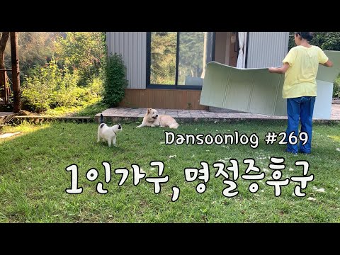 SUB 단순로그269 혼자 살아도 걸리는 명절증후군 vlog