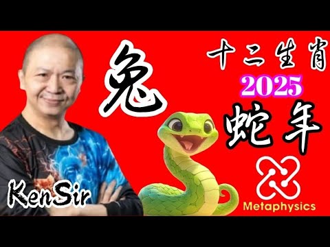 ㊙️🐰生肖【兔】｜2025年｜蛇年十二生肖｜運程預測｜#十二生肖 #2025年 #蛇年 🐍 #astrology #數字玄學