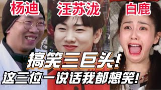 综艺搞笑三巨头集结！杨迪&白鹿&汪苏泷这三人凑一起演播厅的天花板都能被笑塌！#杨迪 #白鹿 #汪苏泷