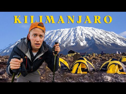 I Climbed The Worlds Tallest Freestanding Mountain (Kilimanjaro)