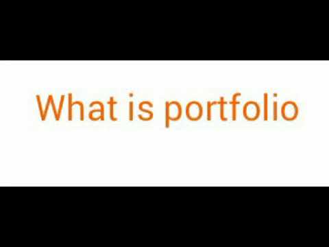 What is portfolio?