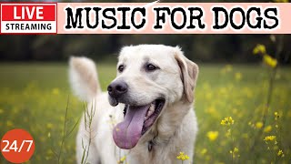 🔴[LIVE] Dog Music🎵 Dog Calming Music🐶💖Separation Anxiety Relief Music💖🦮Dog TV Music For Dog Sleep🔴9