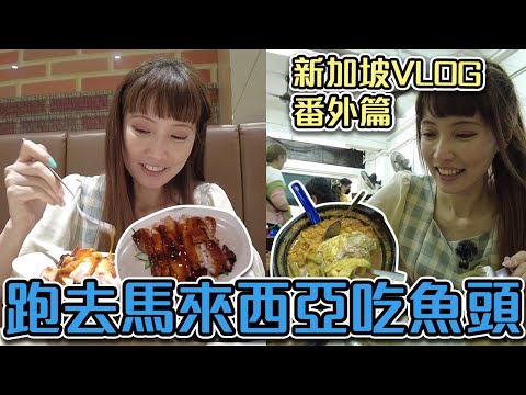 馬來西亞新山必吃 咖喱魚頭！當地人推薦BBQ雞飯 #新加坡VLOG 03【Ryo VLOG】