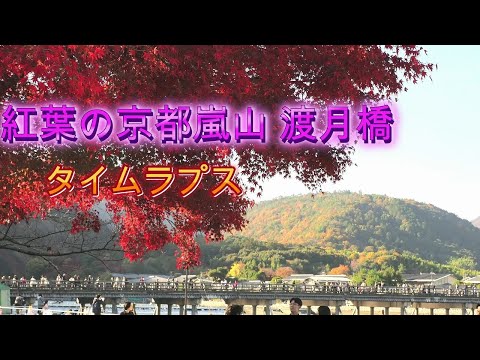 紅葉の京都嵐山 渡月橋 タイムラプス 2024