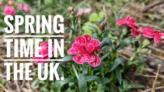 A British garden in Spring (including hardy tropicals).