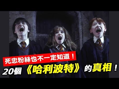 20個「死忠粉絲也不一定知道」的《哈利波特》真相！J.K.羅琳：妙麗就是我！