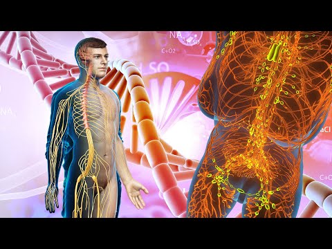 432 Hz + 741 Hz - Negative Energy Wipe Out Frequency | Full BODY CELL Regeneration and Healing