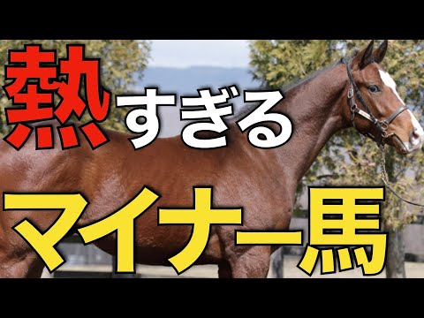 たった2頭の産駒から重賞馬誕生！熱すぎるマイナー種牡馬たち。