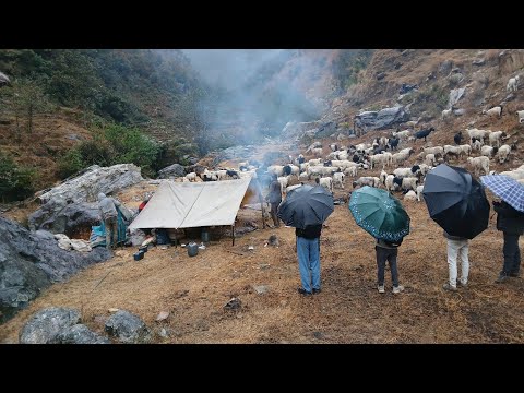 Rainy Day With Winter Himalayan Village Life Most Relaxing And Peaceful Village Life