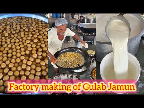 Factory making of Gulab Jamun😍😍 Dekho aise bante hai Gulab Jamun🤩🤩