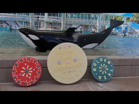 Happy 18th Birthday Nalani! - Killer Whales Up-Close Tour - SeaWorld Orlando