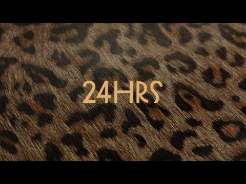 Lil Tecca - 24HRS (Lyric Video)