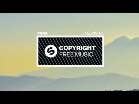 TØAK -  Feeling Me (Copyright Free Music)